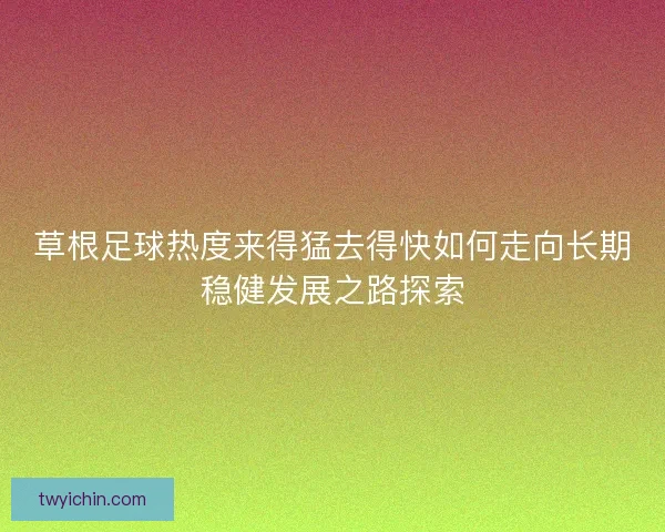 草根足球热度来得猛去得快如何走向长期稳健发展之路探索